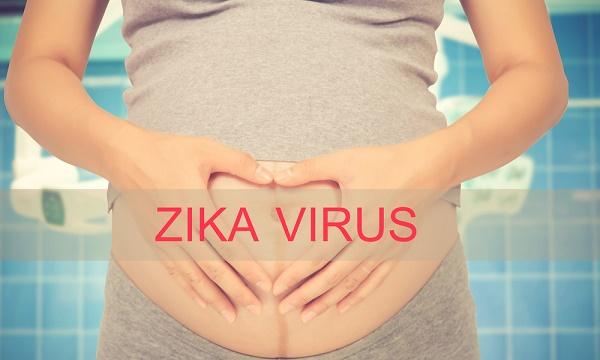 OMS declara vírus zika e microcefalia emergência pública internacional