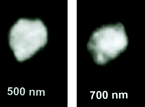 Descoberto Juno, um dos quatro asteroides do Cinturão Principal